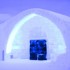 igloo_sq