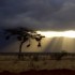 kenya-africa_sq
