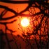 sunset3_170sq