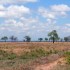 africa-tanzania_sq