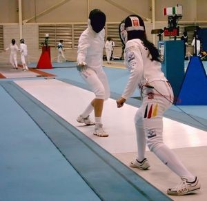 fencing-double-535549-m