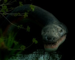 Survival snake Loch Ness