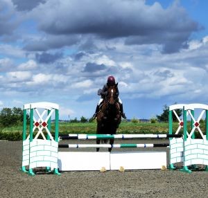 horse-jumping-1052349-m