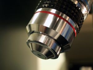 microscope pic