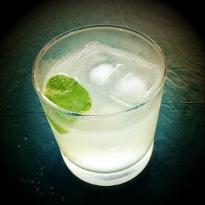 gin-and-tonic-507439_1280