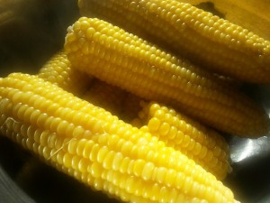 corn-on-the-cob-727108_640