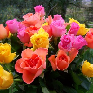 rose-bouquet-945329_1920