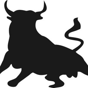 bull-155411_640