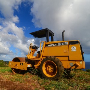 caterpillar-912680_1920