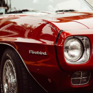 firebird-984090_1920