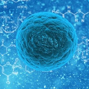 stem-cell-163711_640