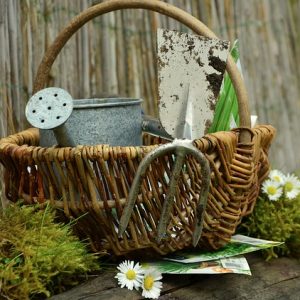 garden-gardening-1290908_640