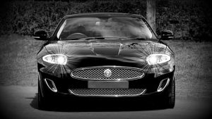 jaguar-1366978_960_720