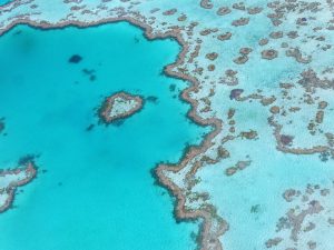 barrier reef