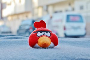 angry bird