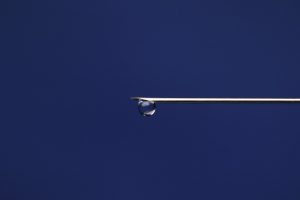 syringe-3908153_1280