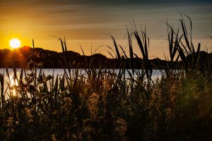 riverbank-4308011_1280