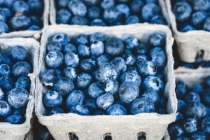 blueberry-1326154_1280