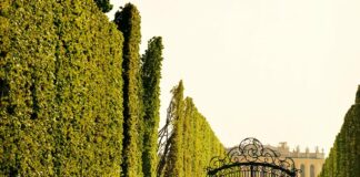 Equistone buys into aluminium gate maker Gardengate after recording 18% CAGR over the past five years