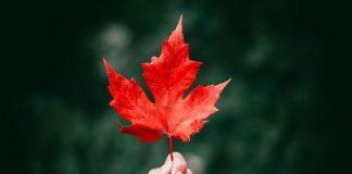 Northleaf Capital Partners nets $1.3bn for third secondaries fund