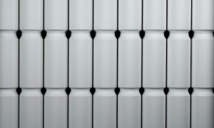 Texan PE firm Blue Sage makes latest exit with Magnum sale