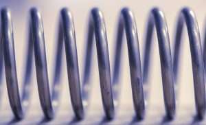 feather-3726705_1280