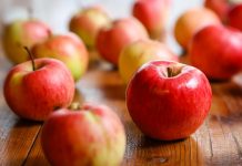 Maia Ventures €55m-targeting fund looks to bridge Italian food industry, innovative startups