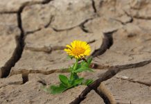 ‘Tepid’ private equity fundraising, limited exit activity may be ending – Debevoise & Plimpton