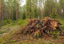 Pinegrove, the buyer of collapsed SVB Financial’s VC unit, seals $2.2bn venture secondaries fundraise