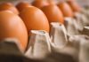 Deal Roundup: Warburg Pincus buys into Global Eggs at $8bn valuation, JF Lehman backs Forged Solutions Group