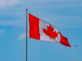 N49P eyes $70m for fourth Canada-focused tech seed fund, hits $25m first close