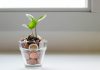 Pemberton confirms final close of fourth vintage fund at €3.4bn
