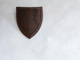 Stoneshield
