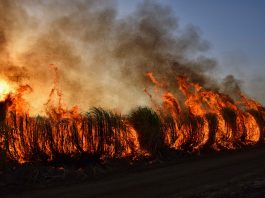 WePay co-founder Clerico seals $85m debut raise for disaster relief-focused VC firm Convective Capital