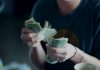 Carlyle targets $15bn for ninth flagship PE fund