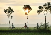 100×100 eyes ramped up Asia startup scene with $100m Fund II