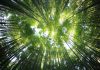 EQT secures $4.4bn sustainability-linked loan