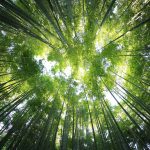 EQT secures $4.4bn sustainability-linked loan