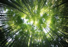 EQT secures $4.4bn sustainability-linked loan