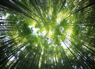 EQT secures $4.4bn sustainability-linked loan