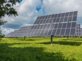 NextEnergy Capital seals $974m for international solar, energy storage infrastructure deals