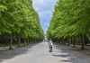 Avenue Growth Partners hits hard cap with $155m Fund II as LP demand backs vertical AI strategy