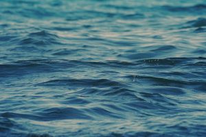 kranich17-water-6901805 (1)