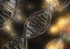 British Business Bank commits €25m to EQT Life Sciences medtech fund