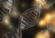 British Business Bank commits €25m to EQT Life Sciences medtech fund