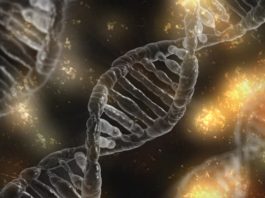 British Business Bank commits €25m to EQT Life Sciences medtech fund