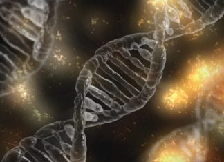 British Business Bank commits €25m to EQT Life Sciences medtech fund