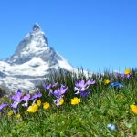 ACE & Company launches PE platform combining independent sponsor, secondaries strategies