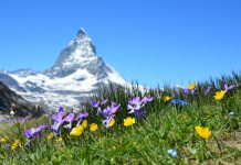 ACE & Company launches PE platform combining independent sponsor, secondaries strategies