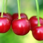 Coller Capital expands European private wealth push through Cherry Bank partnership